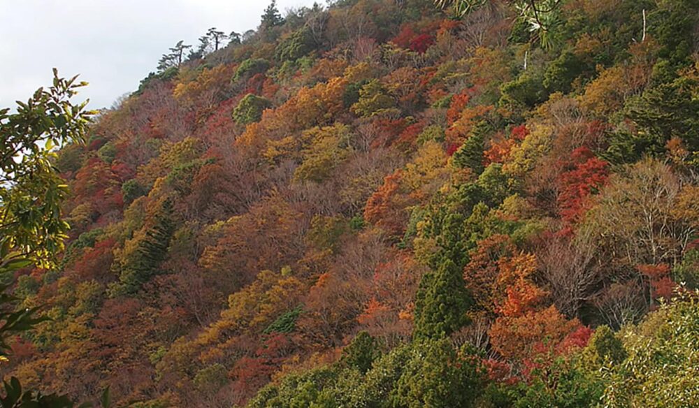 網掛山　展望岩